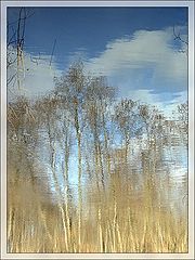 photo "Reflections VIII: Azure of April"