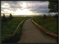 photo "Into the Storm"