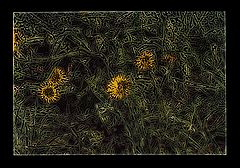 photo "the first. traces of angels"