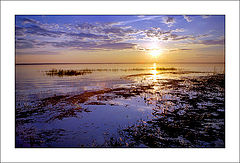 photo "Paints of a decline"