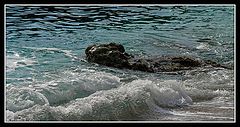 photo "Nessy?"