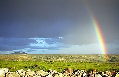 photo "Trough prism of raindrops... (1)"