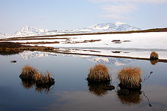 фото "Spring lake in Dovre, Norway."