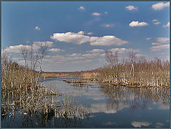 photo "Landscape with water"