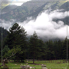 photo "Untitled photo"