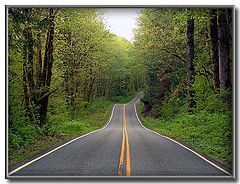 photo "Down the Road - Part II"