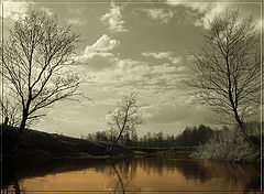 photo "Guard"