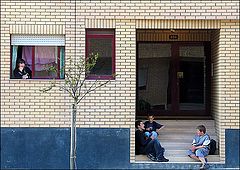 фото "Neighbours"