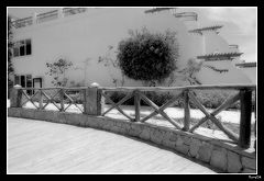 photo "*****"