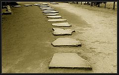 photo "steps"