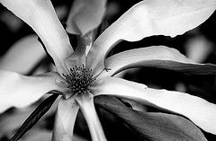 photo "just have a look..."