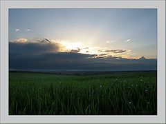 photo "+++"
