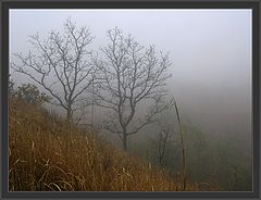фото "going down"