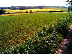 фото "Landscape."