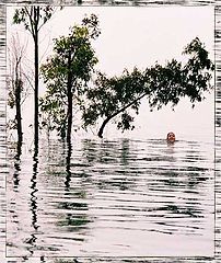 photo "Vacation at the Kineret"