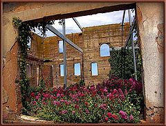 photo "Window Of Time"