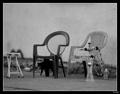 photo "*****"