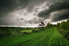 фото "after storm"