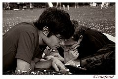 photo "Untitled photo"