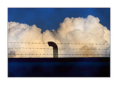 фото "SKY ZONE"