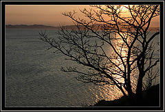 photo "Sunset"