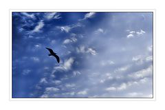 фото "- silence - 2"