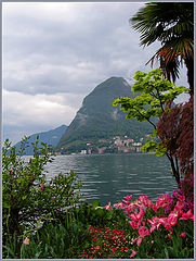 photo "Lugano."