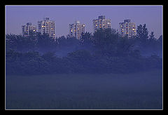 фото "Fog in suburb"