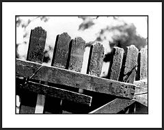 photo "Sampa 98"