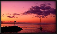 photo "Late Arrival"
