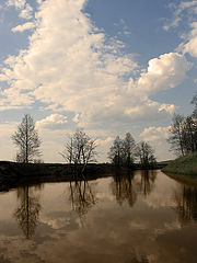 photo "Сomposure"