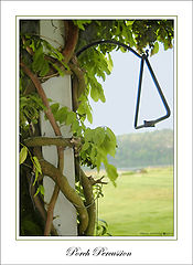 photo "Porch Percussion"
