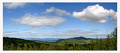photo "Forest and ocean"