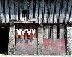 фото "The underwear"