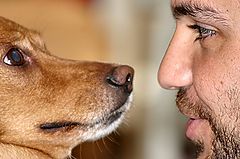 photo "Face to face"