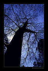фото "(no title)"