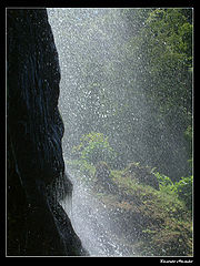 photo "elements 2"