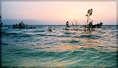 photo "Kineret 3"