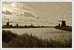 photo "Little Holland - 2"