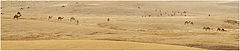 фото "Desert Panorama"