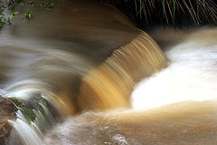 photo "Movement"