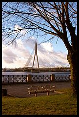 photo "Riga"