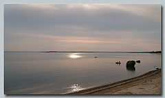 photo "It is the early bird that catches the worm"