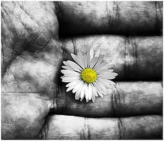 photo "///"