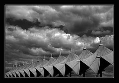 фото "storm-tossed"
