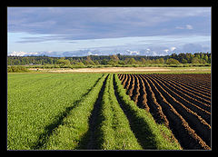 photo "borderlines ..."