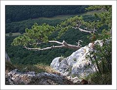 photo "High"