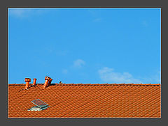 photo "When there is no plot"