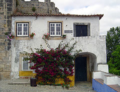 photo "House"