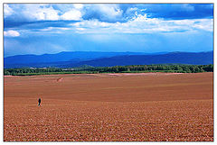 фото "still walking..."
